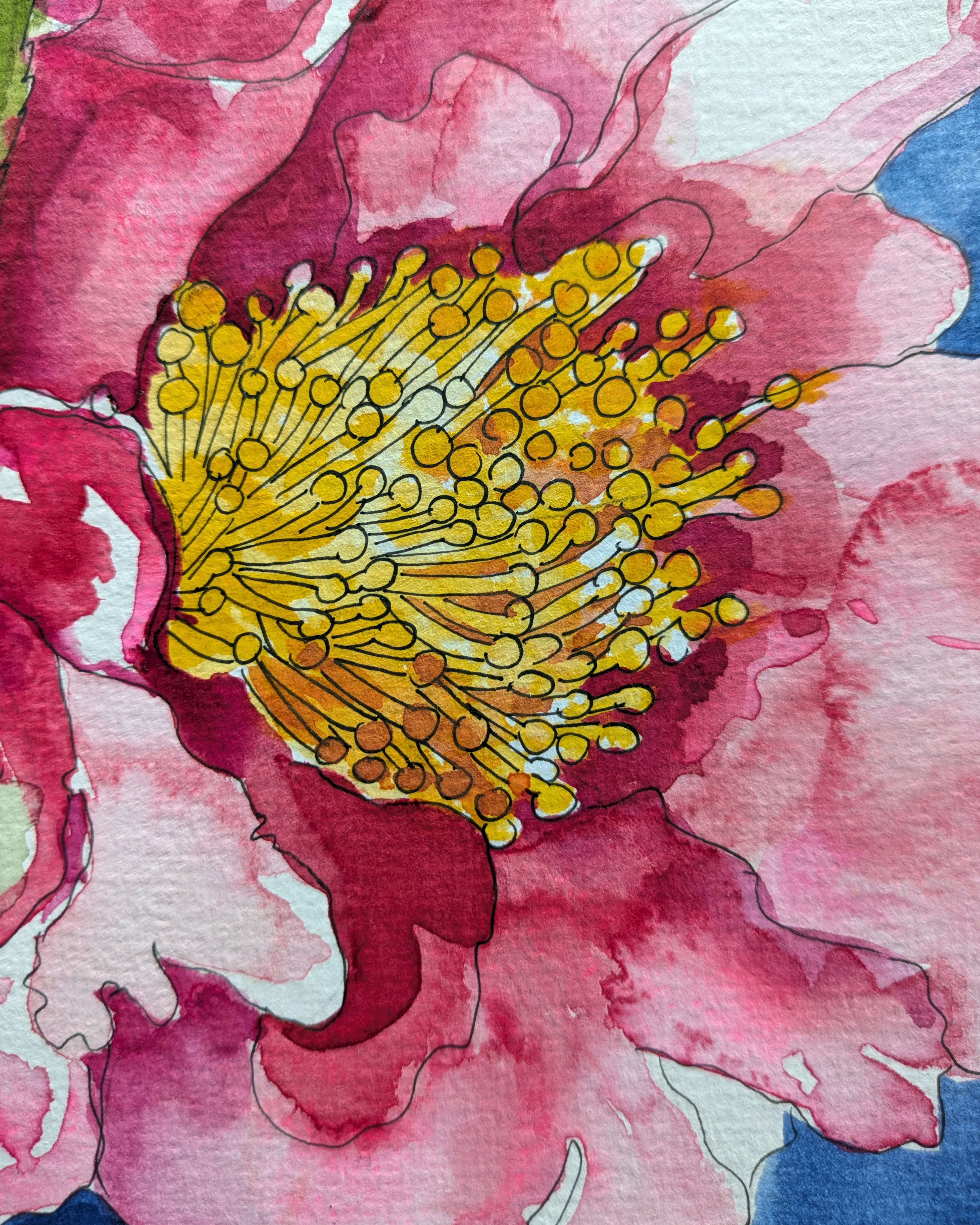 Sally's Camellias — view 2